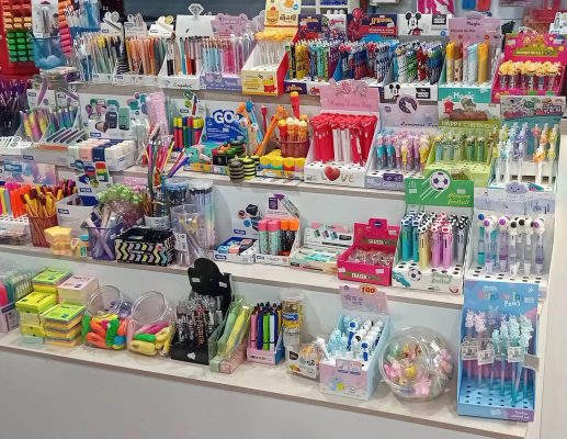 papeleria libreria linares 3