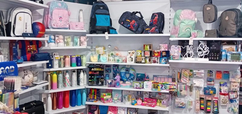 papeleria libreria linares 4